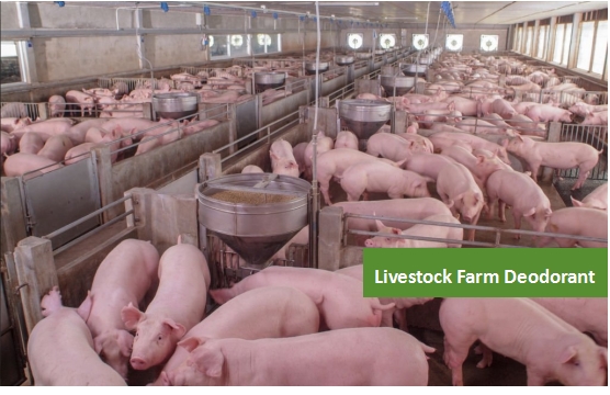 Odor Eliminator for Pig Manure