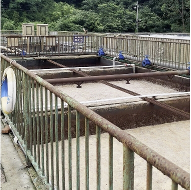 Ammonia Nitrogen Remover