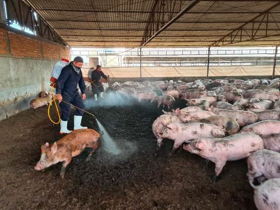 odor control，livestock deodorant
